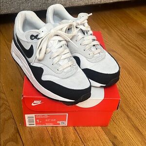 Nike Air Max 1